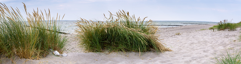Panorama in the dunes Baltic Sea