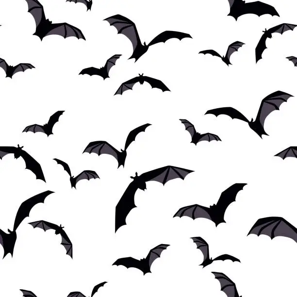 Vector illustration of Halloween seamless background with bats on white. Vector illustration.