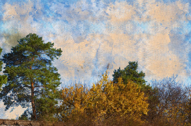 istock Beautiful autumn forest landscape against a blue sky. Green Pine 1334104639