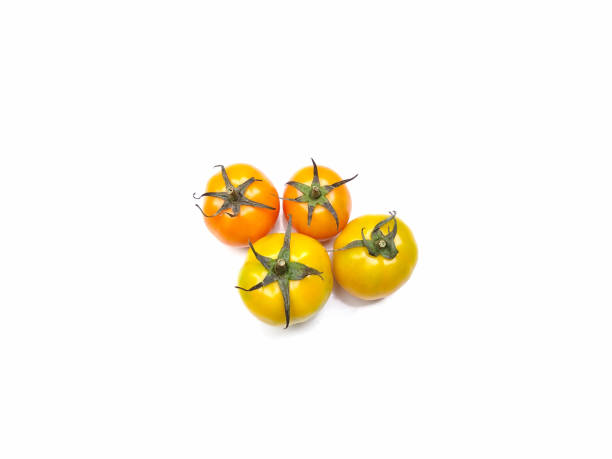 Yellow tomatoes isolated on white background, fresh vegetables