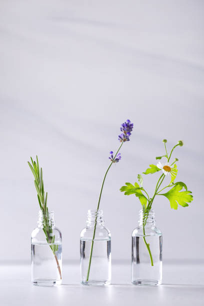 istock Transparent bottles with fresh herbs for aromatherapy 1334107331