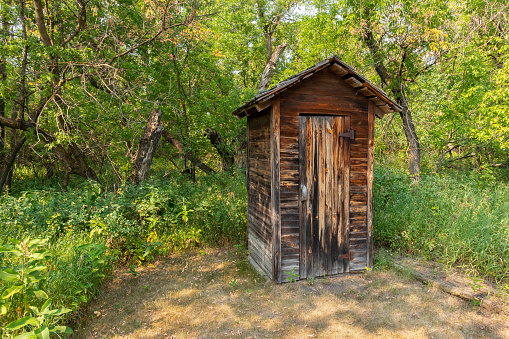 An old wooden outhouse in the woods.