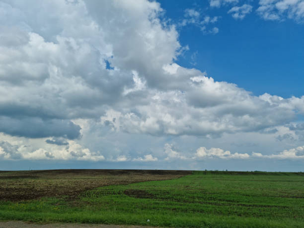 istock a green field along the road with blue sky and clouds. 1334112835