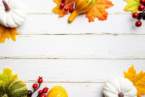 Autumn side border of white pumpkins and autumn leaves over a rustic white wood background, top view