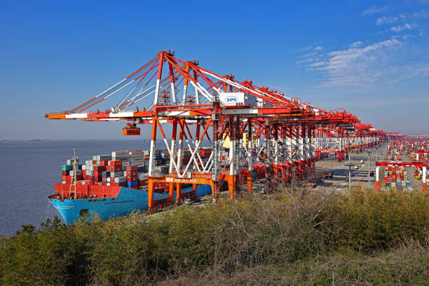 Container ship in Shanghai Yangshan Port with cranes and container terminal