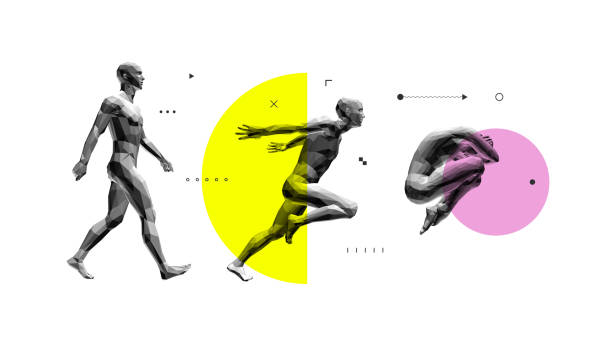 Models of polygonal people in different poses. Walking man. Men is jumping with his hands behind his back. Man lying curl up on a floor. Vector for brochure, flyer, presentation, logo or banner. Models of polygonal people in different poses. Walking man. Men is jumping with his hands behind his back. Man lying curl up on a floor. Vector for brochure, flyer, presentation, logo or banner. the human body stock illustrations
