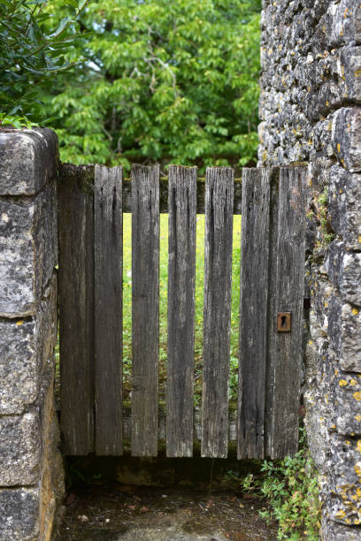 istock Garden wood door 1334118035
