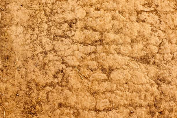 istock Soil on the ground as texture and background 1334120593