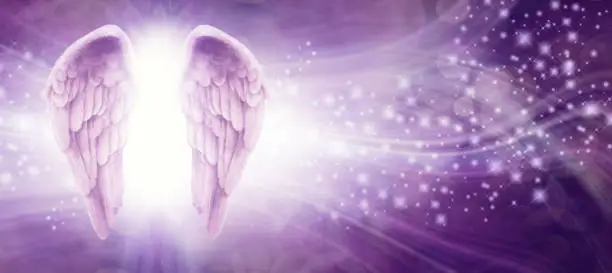 pair of Angel wings on left side with a whoosh of wavy lines and sparkles on a purple background with copy space