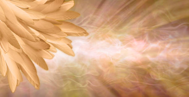 Golden Angel Feather Message Banner Background a pile of random long golden feathers in left corner against a gaseous flowing energy field shaped like a giant feather with copy space pics of guardian angels stock pictures, royalty-free photos & images