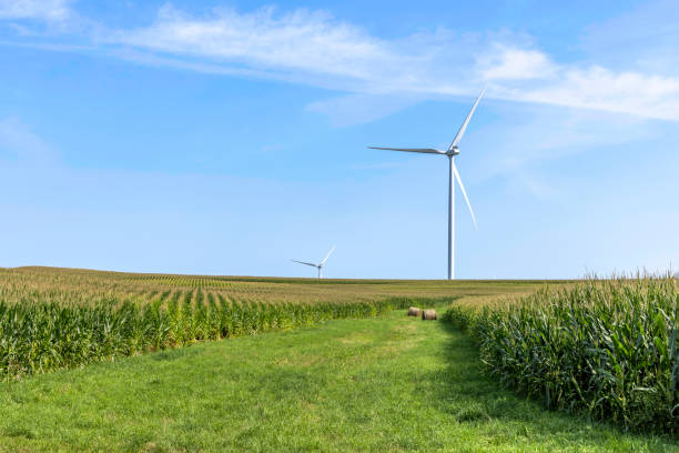 cornfield windturbine - iowa stock-fotos und bilder