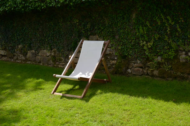 istock Garden sun loungers 1334123639