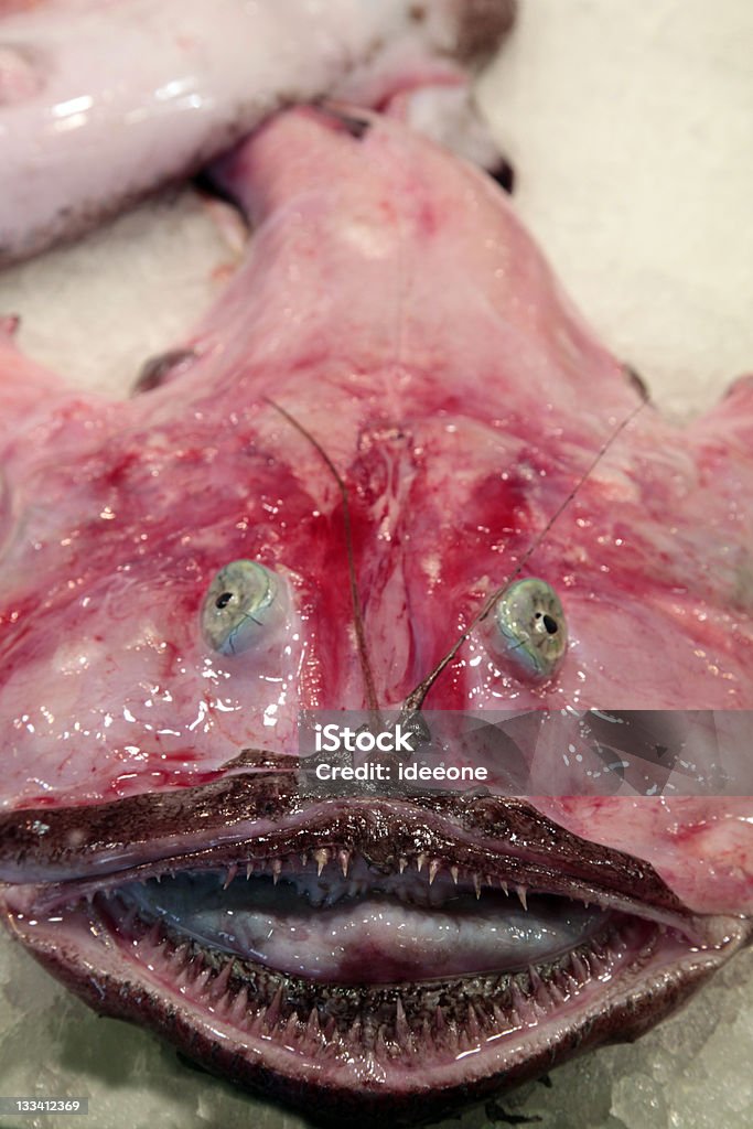 goosefish scuoiato - Foto stock royalty-free di Pesce