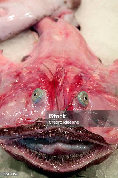 Goosefish Scuoiato - Fotografie stock e altre immagini di Pesce - Pesce, Animale scuoiato, Bruttezza