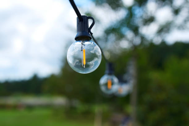 istock Garland light bulbs garden 1334124336