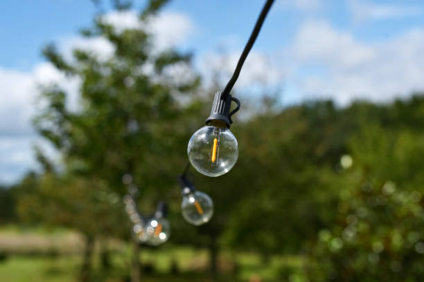 istock Garland light bulbs garden 1334124347