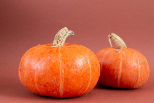 istock orange pumpkin isolated on brown background 1334125252