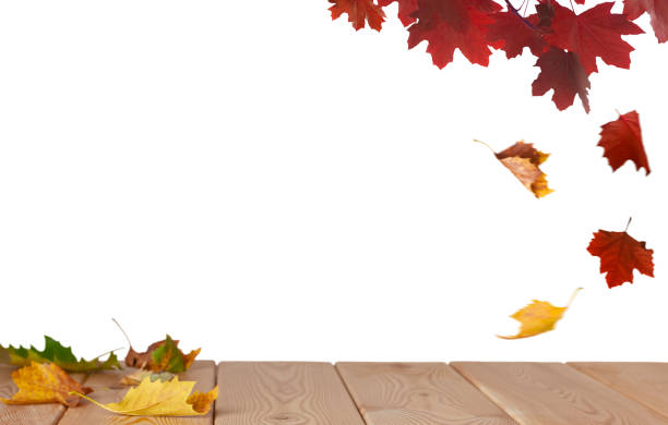 istock Isolated maple leaves on the wood table 1334125358