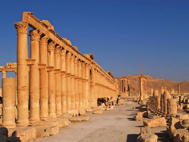 istock Palmyra, Ancient Ruins in Syria, Middle East 1334125519
