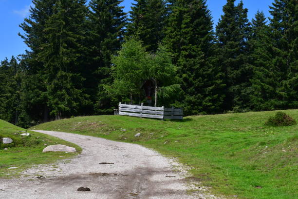 istock Beautiful landscape in Southtyrol 1334126585