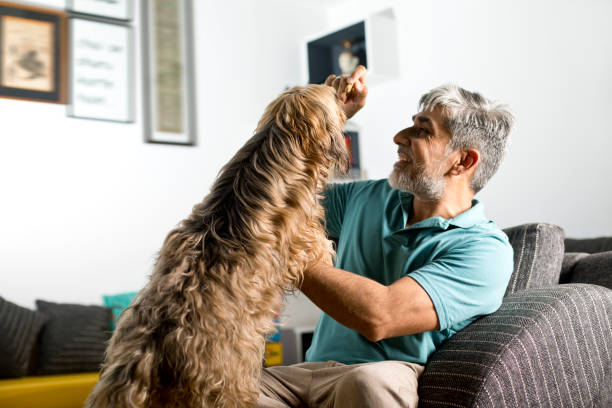 istock Man feeding his pet dog at home 1334126674