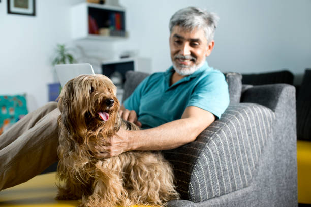 man using laptop and stroking his pet dog at home - multi tasking asian and indian ethnicities asian ethnicity lifestyles imagens e fotografias de stock