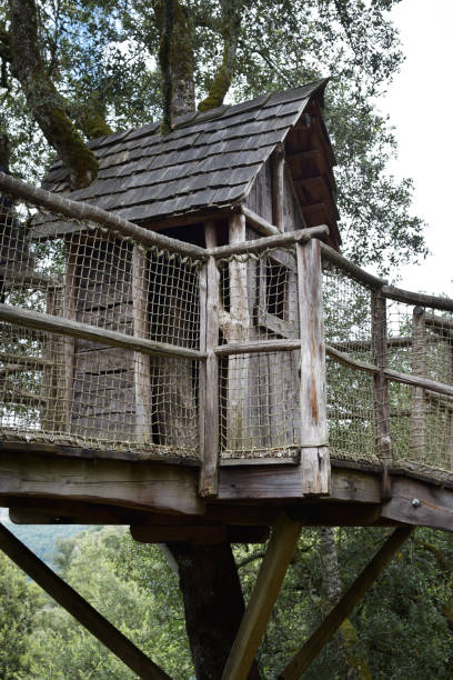 istock Wooden hut in a tree 1334127699