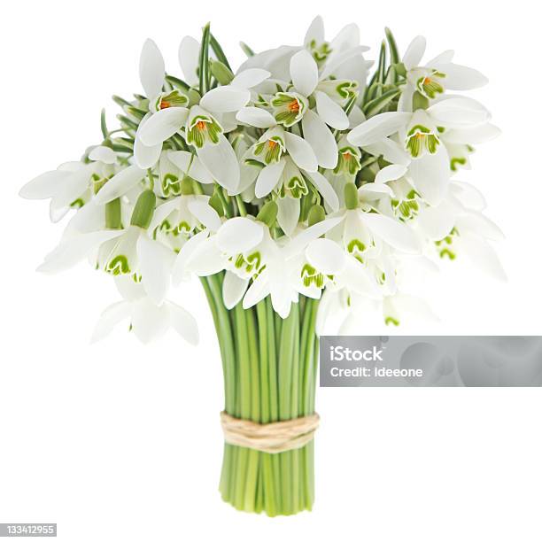 Queda De Neve - Fotografias de stock e mais imagens de Bouquet - Bouquet, Campainha branca, Arranjo de flores