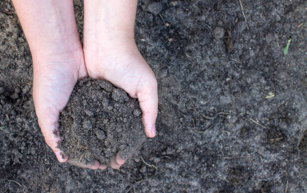 istock human palms hold the earth and the copy space 1334129771