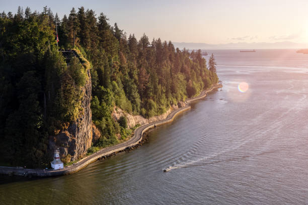 Aerial View from Lions Gate Bridge of Famous Seawall in Stanley Park. Aerial View from Lions Gate Bridge of Famous Seawall in Stanley Park. Sunny Summer Sunset. Downtown Vancouver, British Columbia, Canada. vancouver stock pictures, royalty-free photos & images