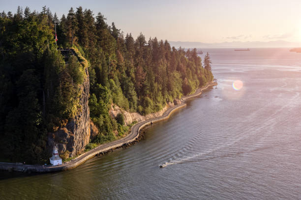 aerial view from lions gate bridge of famous seawall in stanley park. - burrard inlet bildbanksfoton och bilder