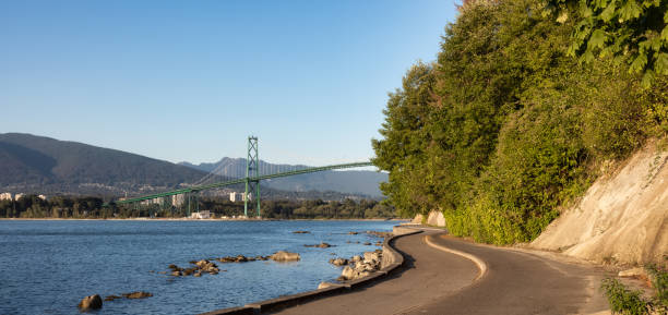 istock View of the Famous Lions Gate Bridge from Stanley Park 1334131817