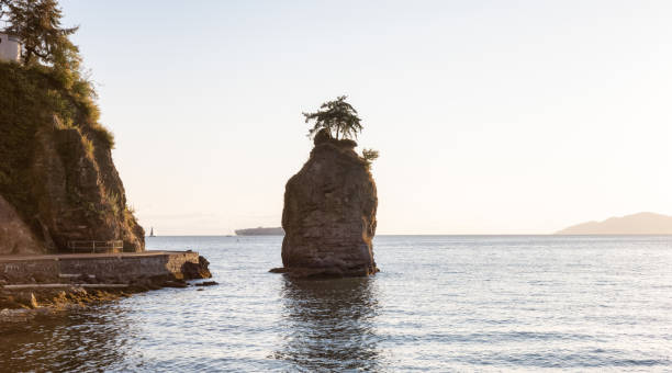 istock Seawall in Stanley Park, Downtown Vancouver 1334131850