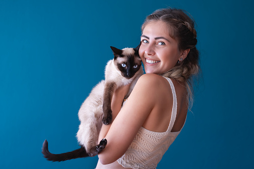 siamese cat and owner hugging