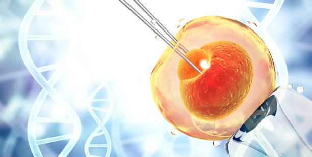 Genetic engineering, GMO and gene manipulation concept Genetic engineering, GMO and gene manipulation concept. Hi Tech technology in field of genetic engineering. Cellular Therapy. Horizontal banner with copy space for text. 3d render gene editing stock pictures, royalty-free photos & images