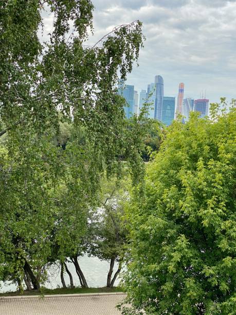 istock Moscow park with a view on business district, Russia 1334135397