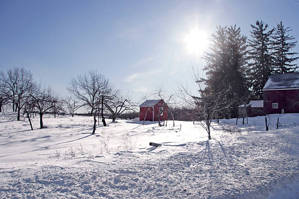 fazenda na montanha - snow horizon winter shed - fotografias e filmes do acervo