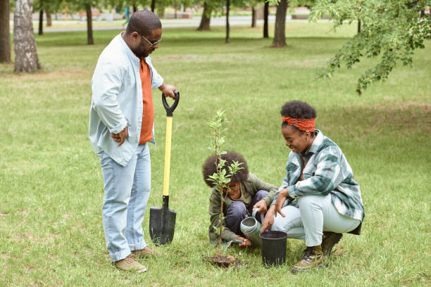 istock Cute little boy watering small tree planted by his mother 1334137210