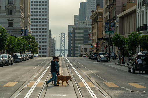 Couple crossing the street on Nob Hill with dog. View down California street with bay Bridge in the background.