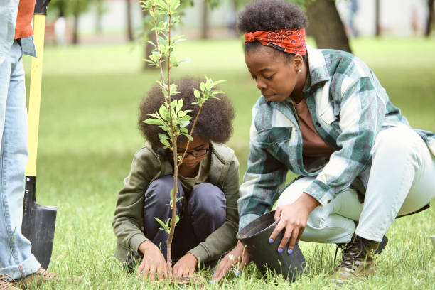 une jeune femme et son petit fils plantent des arbres dans l’un des parcs de la ville - tree grass family human relationship family photos et images de collection