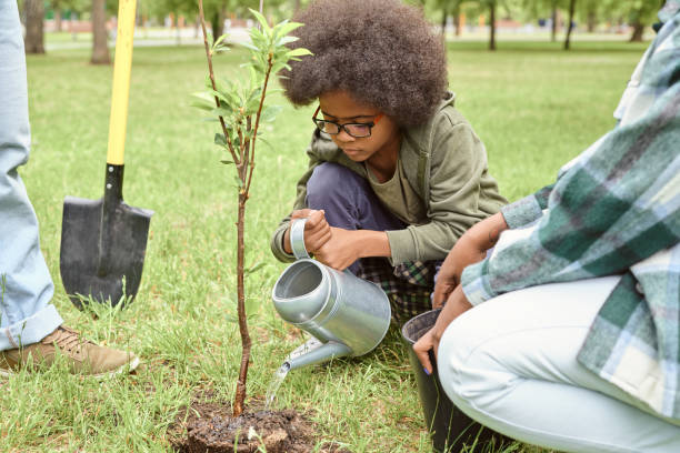 istock Little boy watering small tree after planting it in park 1334137260