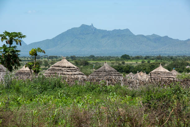 tipico villaggio del popolo karimojong nella regione di karamoja in uganda - hut africa grass hut mud hut foto e immagini stock