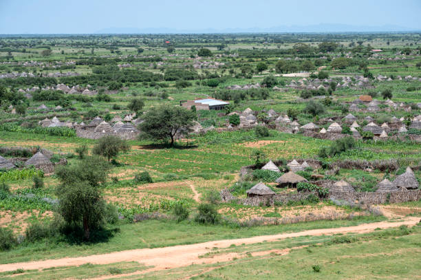 tipico villaggio del popolo karimojong nella regione di karamoja in uganda - hut africa grass hut mud hut foto e immagini stock