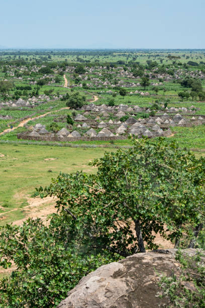 tipico villaggio del popolo karimojong nella regione di karamoja in uganda - hut africa grass hut mud hut foto e immagini stock