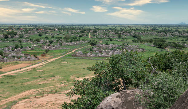 tipico villaggio del popolo karimojong nella regione di karamoja in uganda - hut africa grass hut mud hut foto e immagini stock