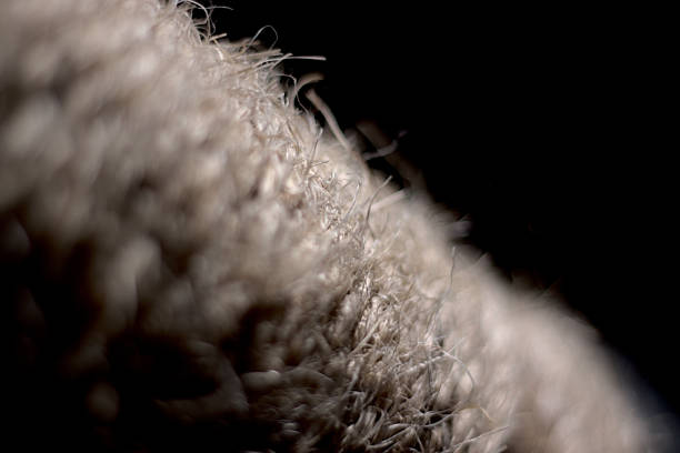 The look of rope at a close up