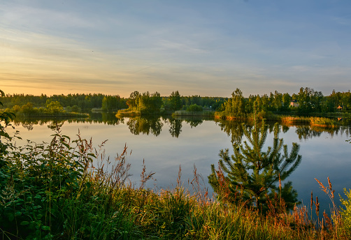 Early morning on the shore of the quarry. Late summer, the last days of August.