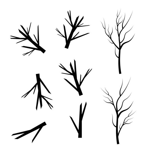 illustrations, cliparts, dessins animés et icônes de silhouettes de branches d’arbres nues. feuilles, tourbillons et éléments floraux - tree silhouette branch bare tree