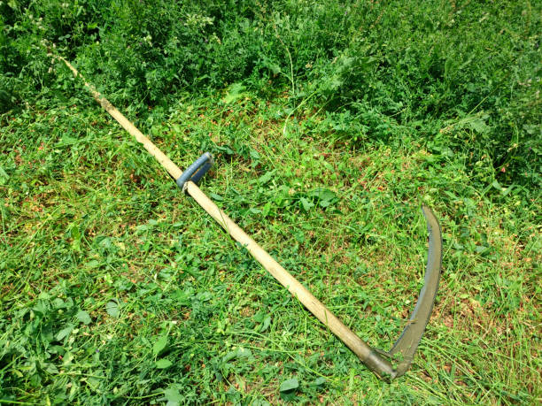 Scythe for mowing grass