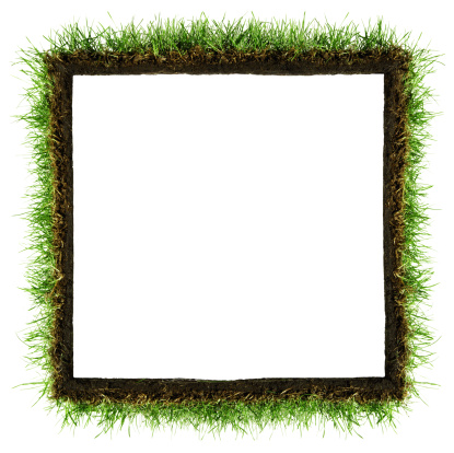 Fluffy natural frame made of real grass as copy space.